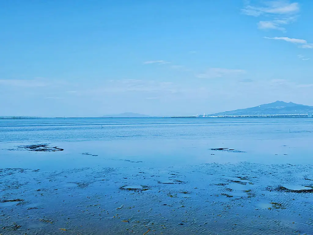 간조 시간대 나가베타 해중도로 주변에 넓게 펼쳐진 바닷가 갯벌 풍경